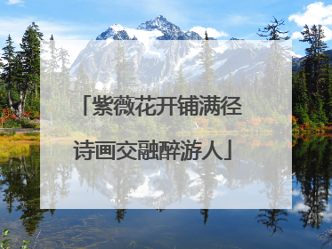 紫薇花开铺满径 诗画交融醉游人